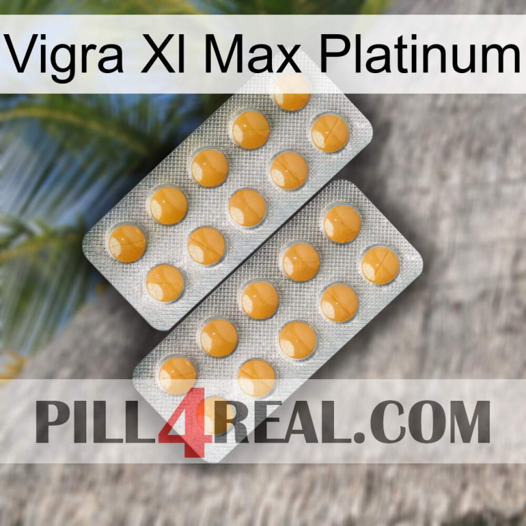 Vigra Xl Max Platinum levitra2
